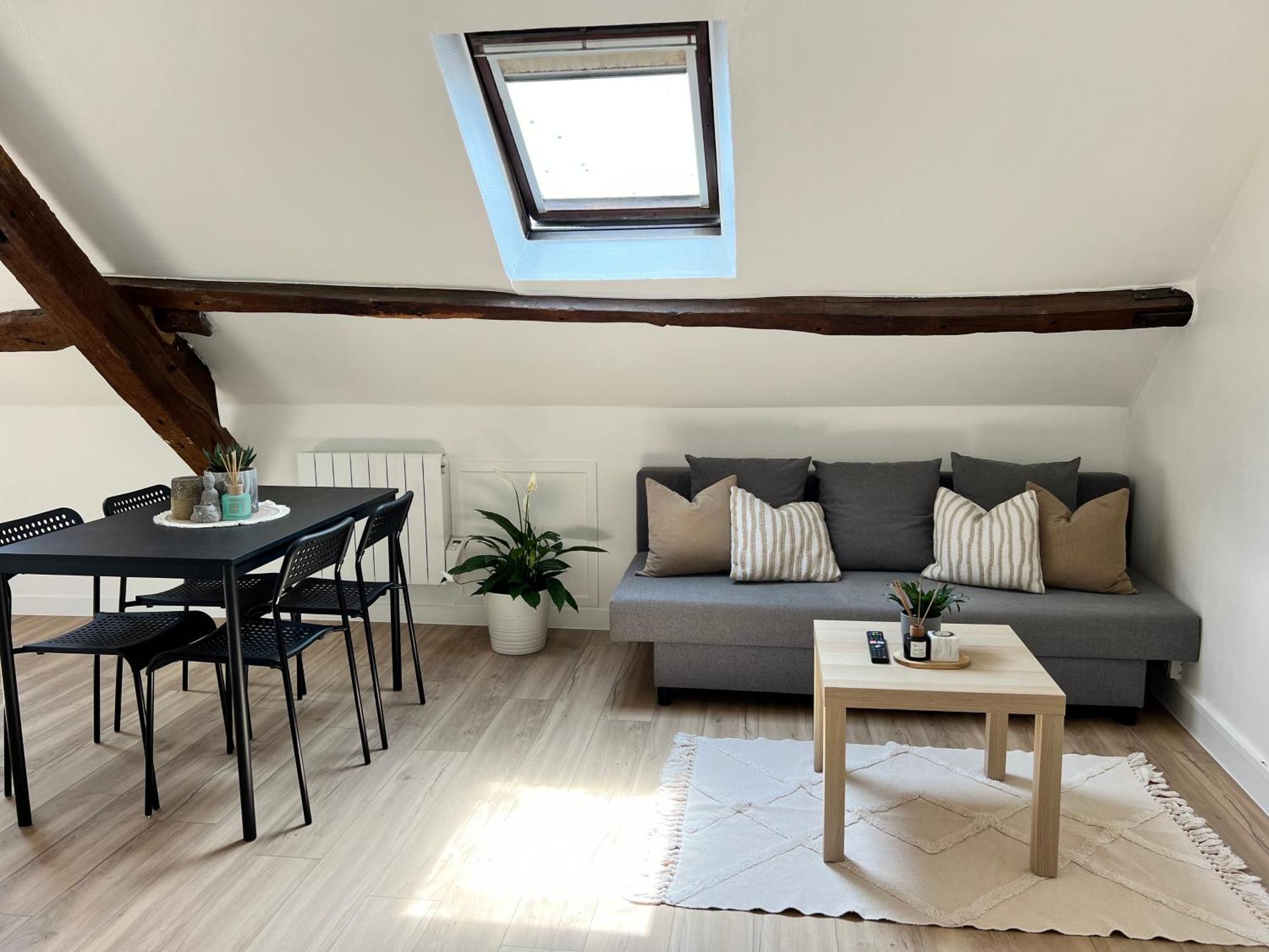 Appart Asterix Cdg Parc Expo Paris Chantilly Apartment Plailly Ngoại thất bức ảnh
