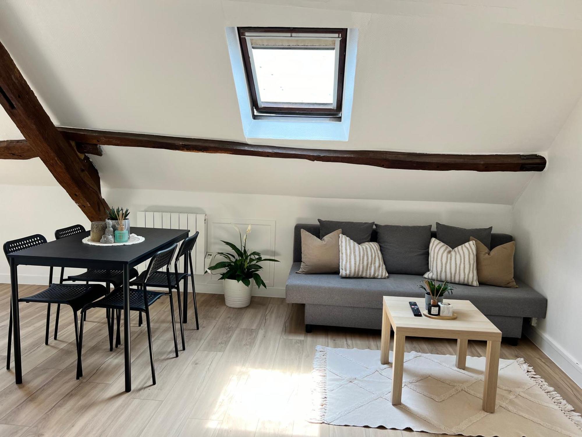 Appart Asterix Cdg Parc Expo Paris Chantilly Apartment Plailly Ngoại thất bức ảnh