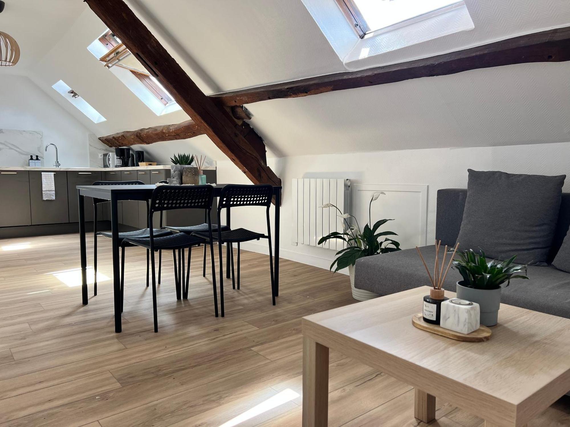 Appart Asterix Cdg Parc Expo Paris Chantilly Apartment Plailly Ngoại thất bức ảnh