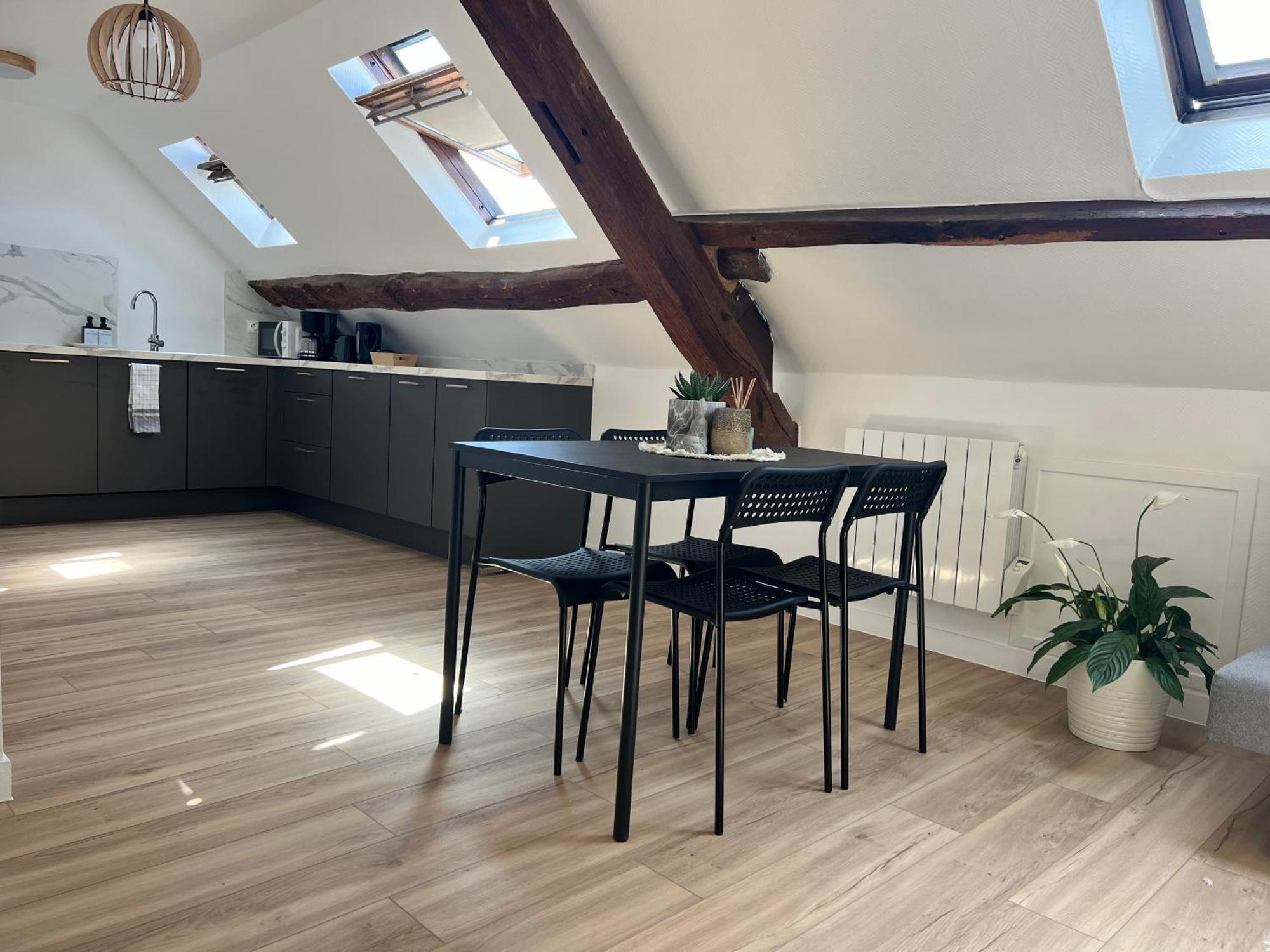 Appart Asterix Cdg Parc Expo Paris Chantilly Apartment Plailly Ngoại thất bức ảnh