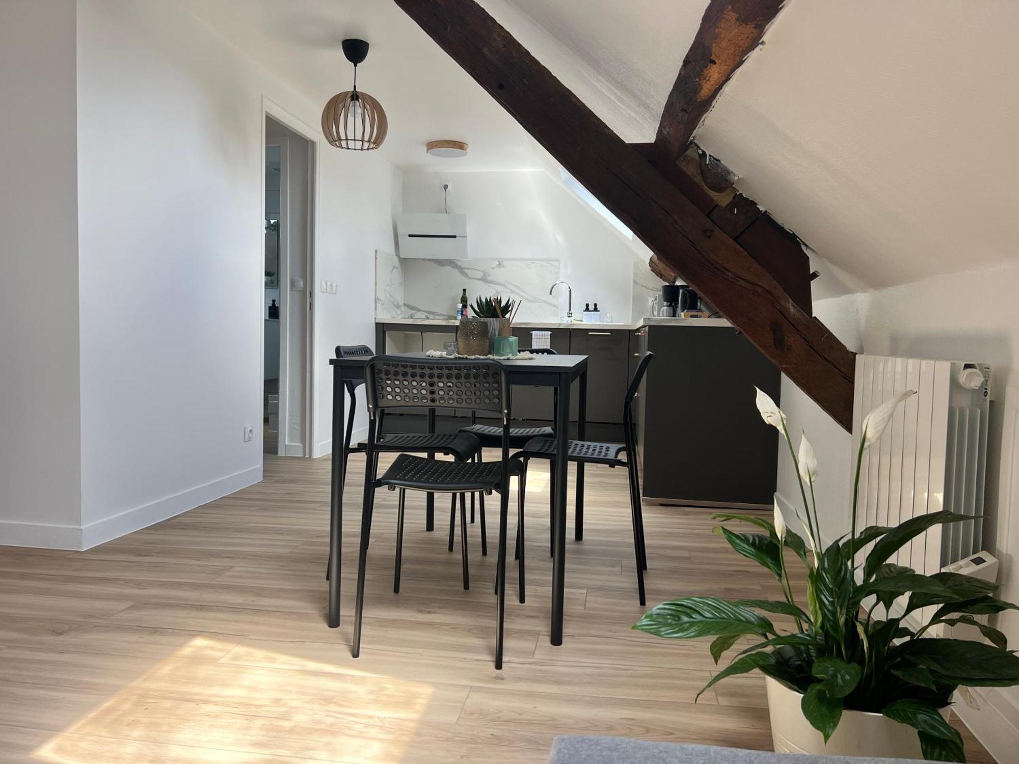 Appart Asterix Cdg Parc Expo Paris Chantilly Apartment Plailly Ngoại thất bức ảnh
